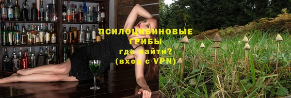 индика Абдулино