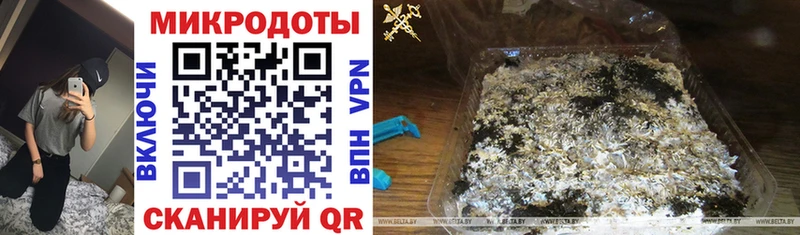 OMG маркетплейс  Благовещенск  Псилоцибиновые грибы Cubensis 
